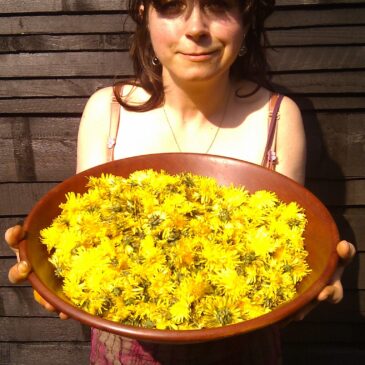 Cornerstone of Frida Go: Guide